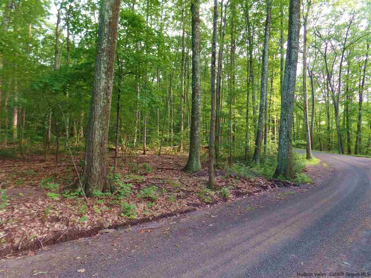 Tbd Laurel Hollow Road Kerhonkson, NY 12446 - Photo 13 of 24 Photo 13