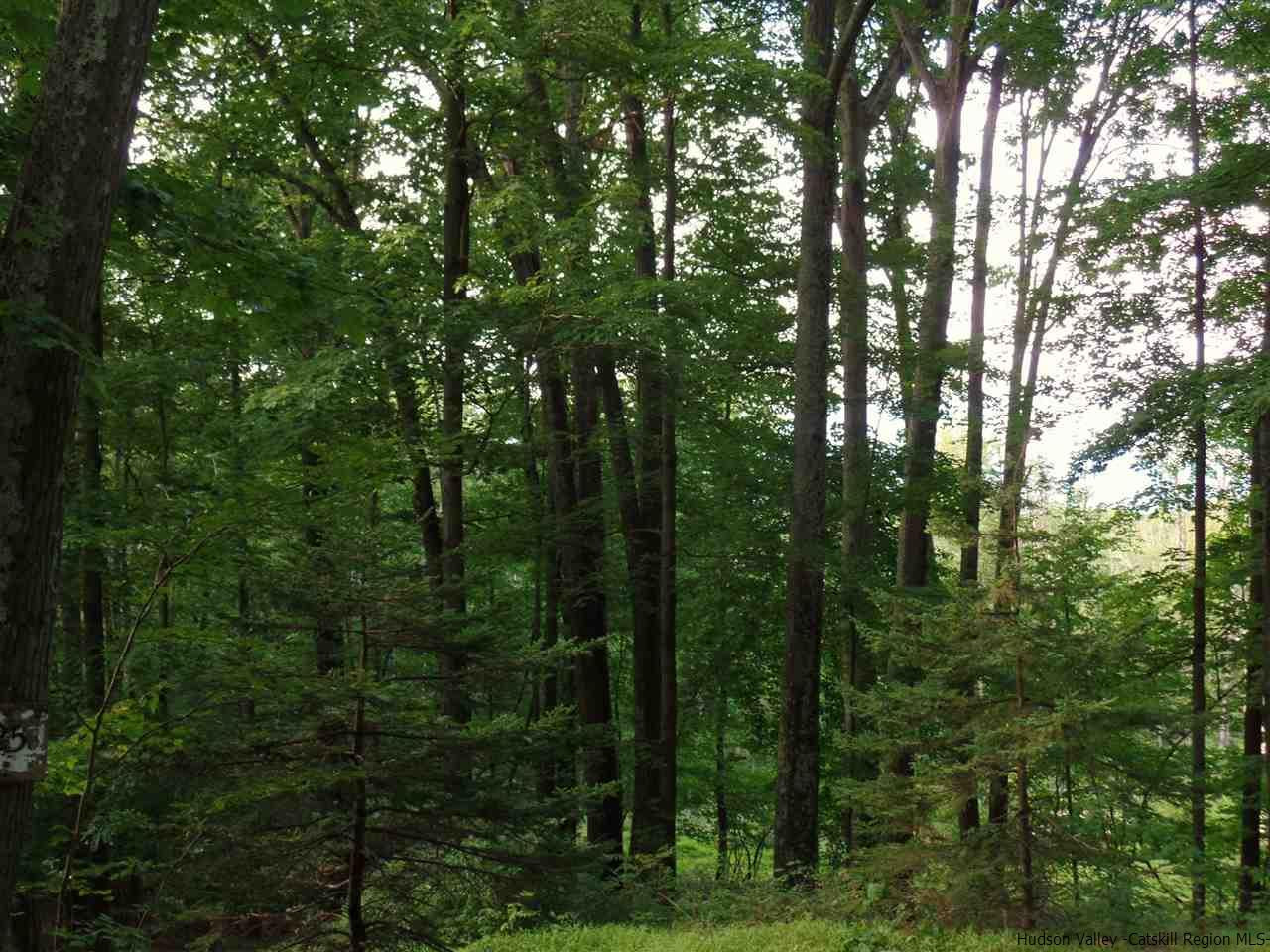 Tbd Laurel Hollow Road Kerhonkson, NY 12446 - Photo 14 of 24 Photo 14