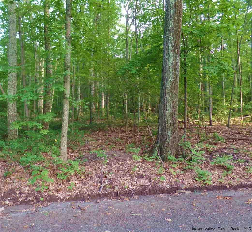 Tbd Laurel Hollow Road Kerhonkson, NY 12446 - Photo 15 of 24 Photo 15