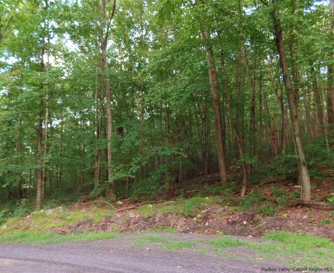 Tbd Laurel Hollow Road Kerhonkson, NY 12446 - Photo 16 of 24 Photo 16