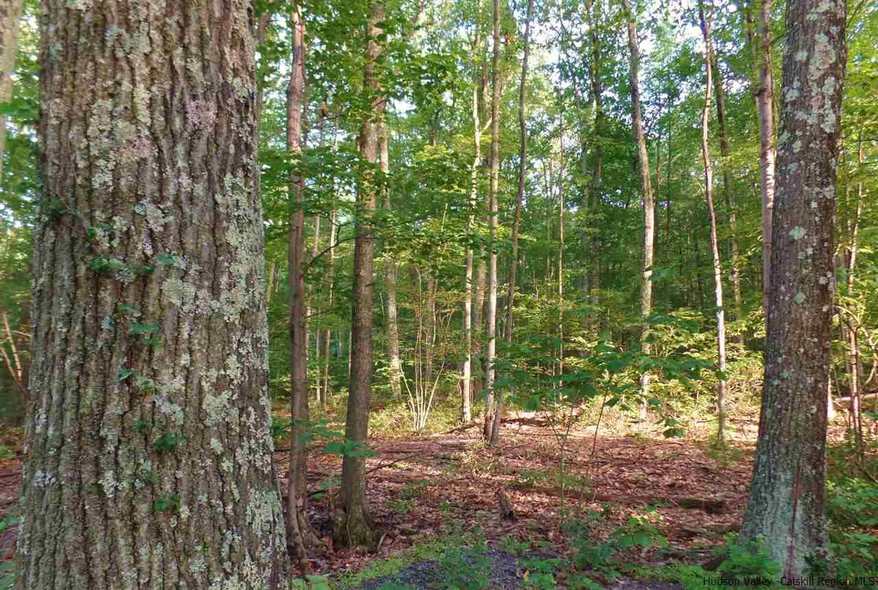 Tbd Laurel Hollow Road Kerhonkson, NY 12446 - Photo 17 of 24 Photo 17