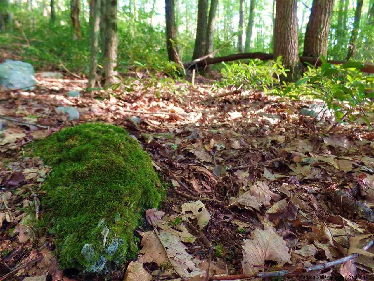 Tbd Laurel Hollow Road Kerhonkson, NY 12446 - Photo 18 of 24 Photo 18