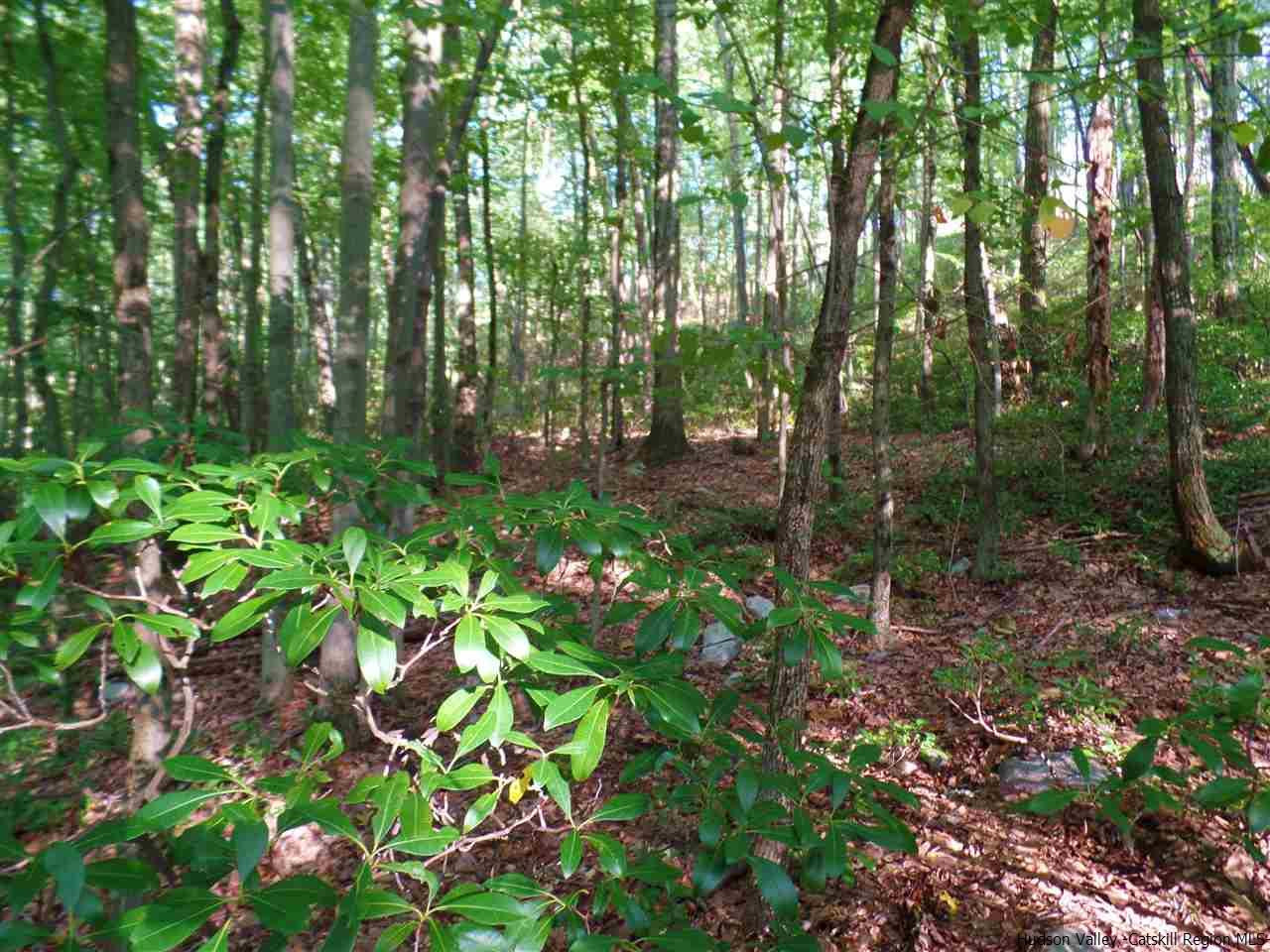 Tbd Laurel Hollow Road Kerhonkson, NY 12446 - Photo 19 of 24 Photo 19