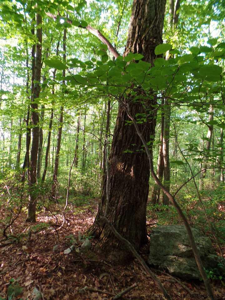 Tbd Laurel Hollow Road Kerhonkson, NY 12446 - Photo 20 of 24 Photo 20