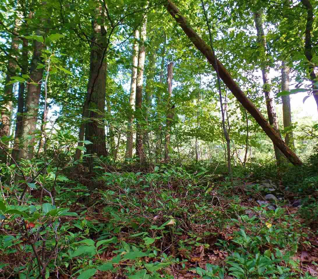 Tbd Laurel Hollow Road Kerhonkson, NY 12446 - Photo 22 of 24 Photo 22