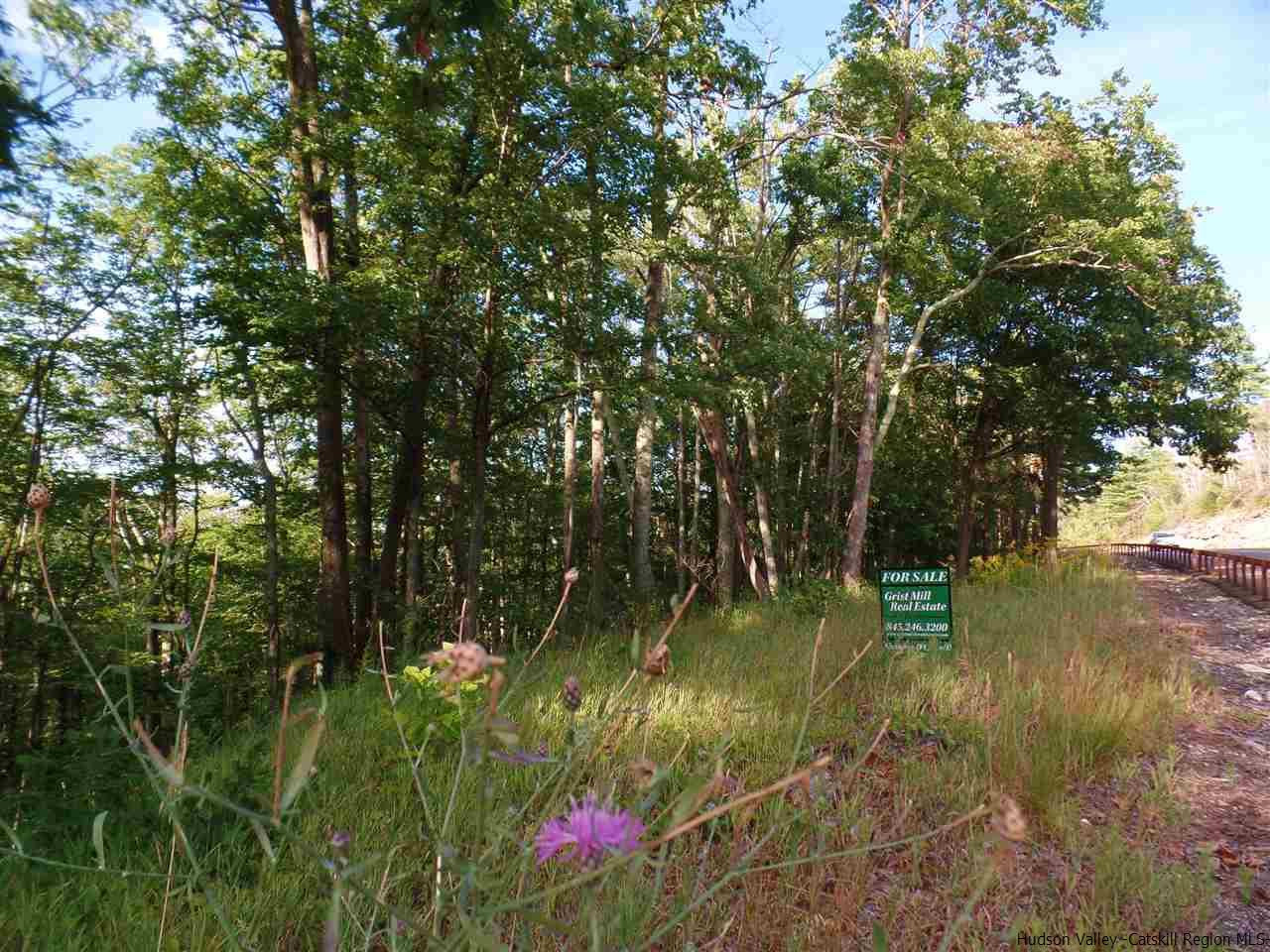 Tbd Laurel Hollow Road Kerhonkson, NY 12446 - Photo 8 of 24 Photo 8