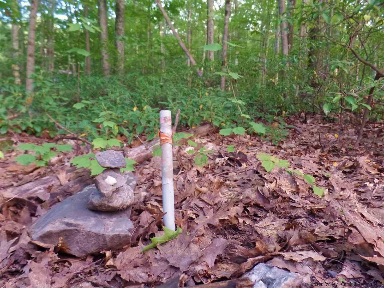 Tbd Laurel Hollow Road Kerhonkson, NY 12446 - Photo 10 of 24 Photo 10