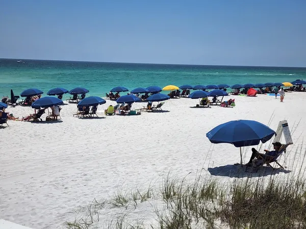 a view of a swimming pool and lounge chair