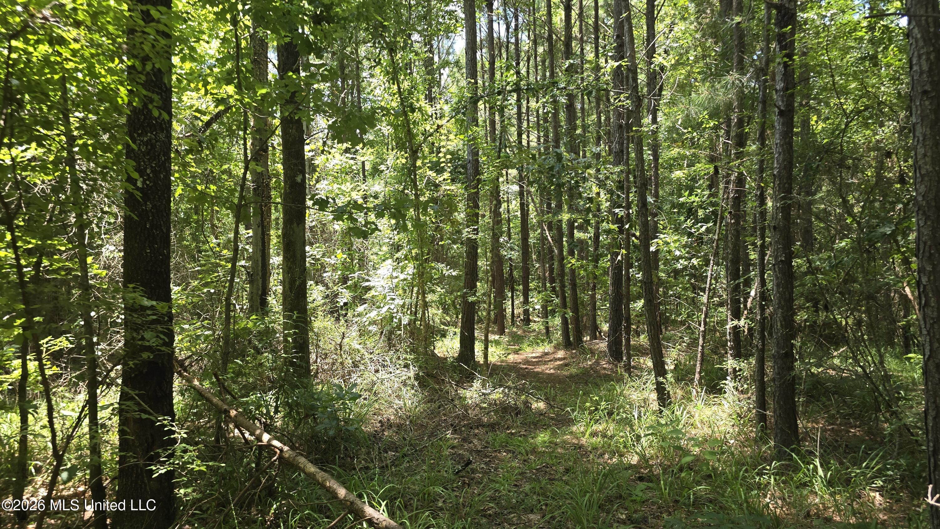 . Neal Posey Road McCall Creek, MS 39647 - Photo 7 of 18 20260709_130622
