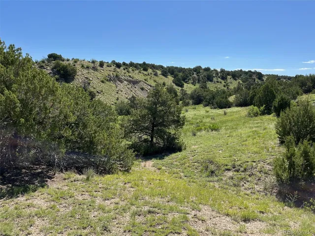 $60,000 | 0 Railroad Spring Drive, Pueblo, CO 81004