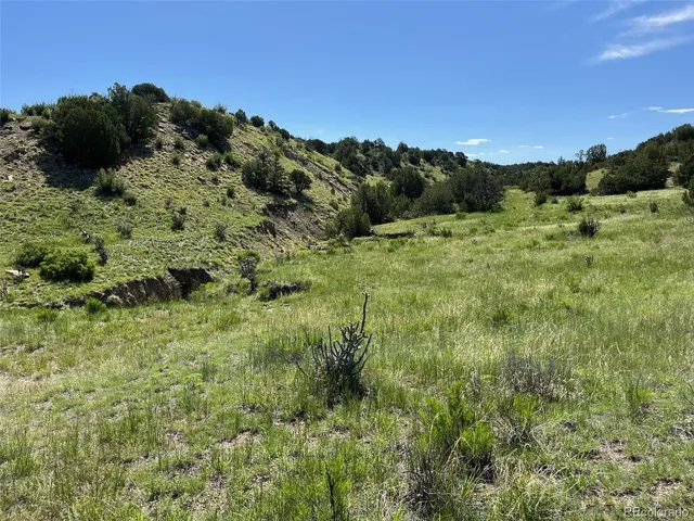 $60,000 | 0 Railroad Spring Drive, Pueblo, CO 81004