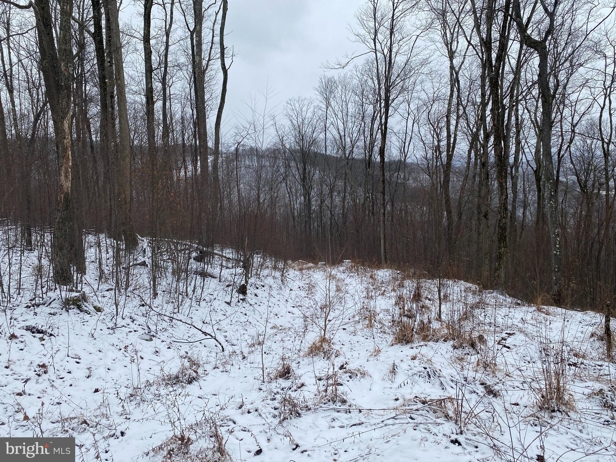 Tbd Stemple Ridge Road Aurora, WV 26705 - Photo 12 of 15 a view of wooden fence of a house