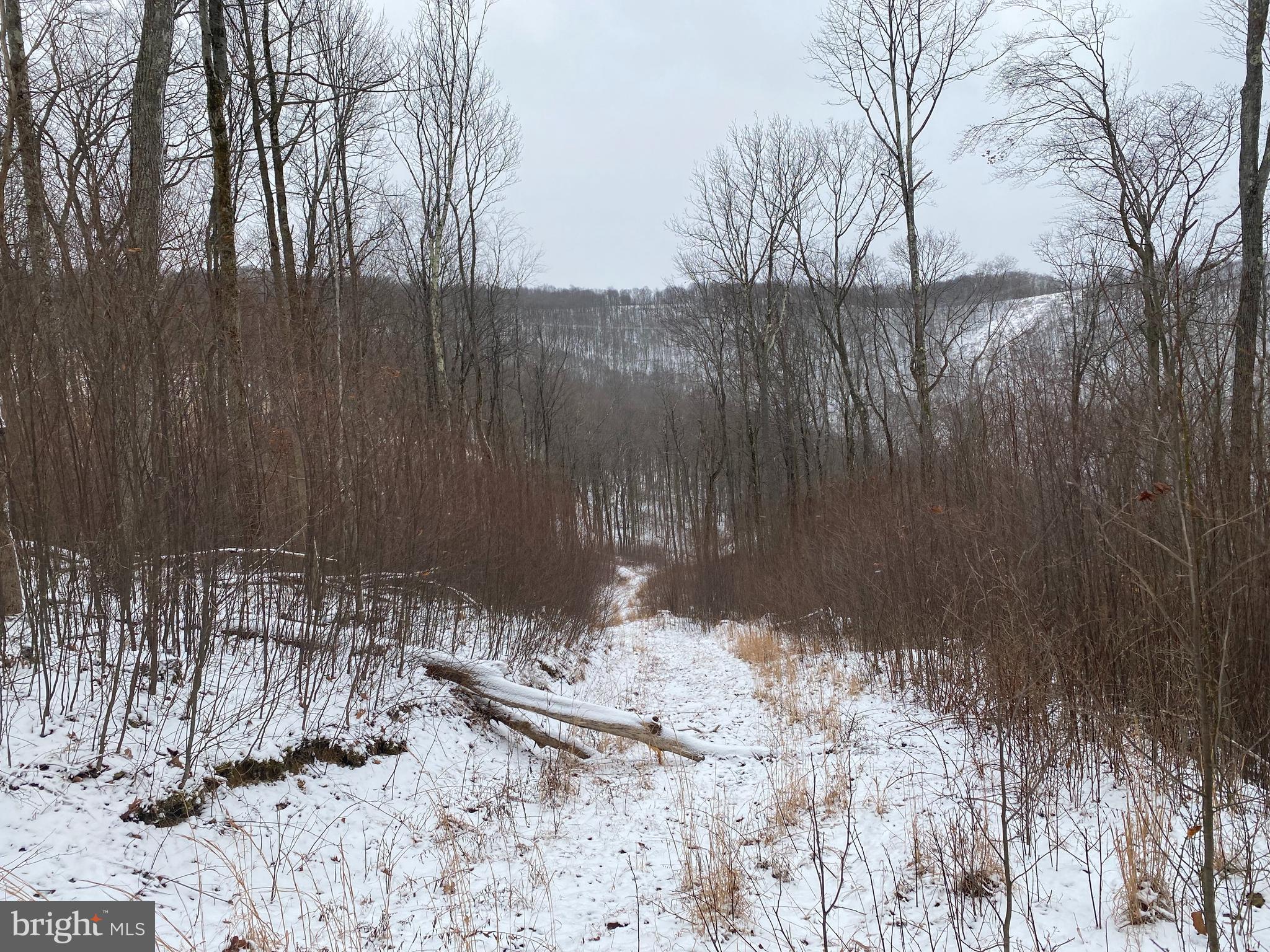 Tbd Stemple Ridge Road Aurora, WV 26705 - Photo 13 of 15