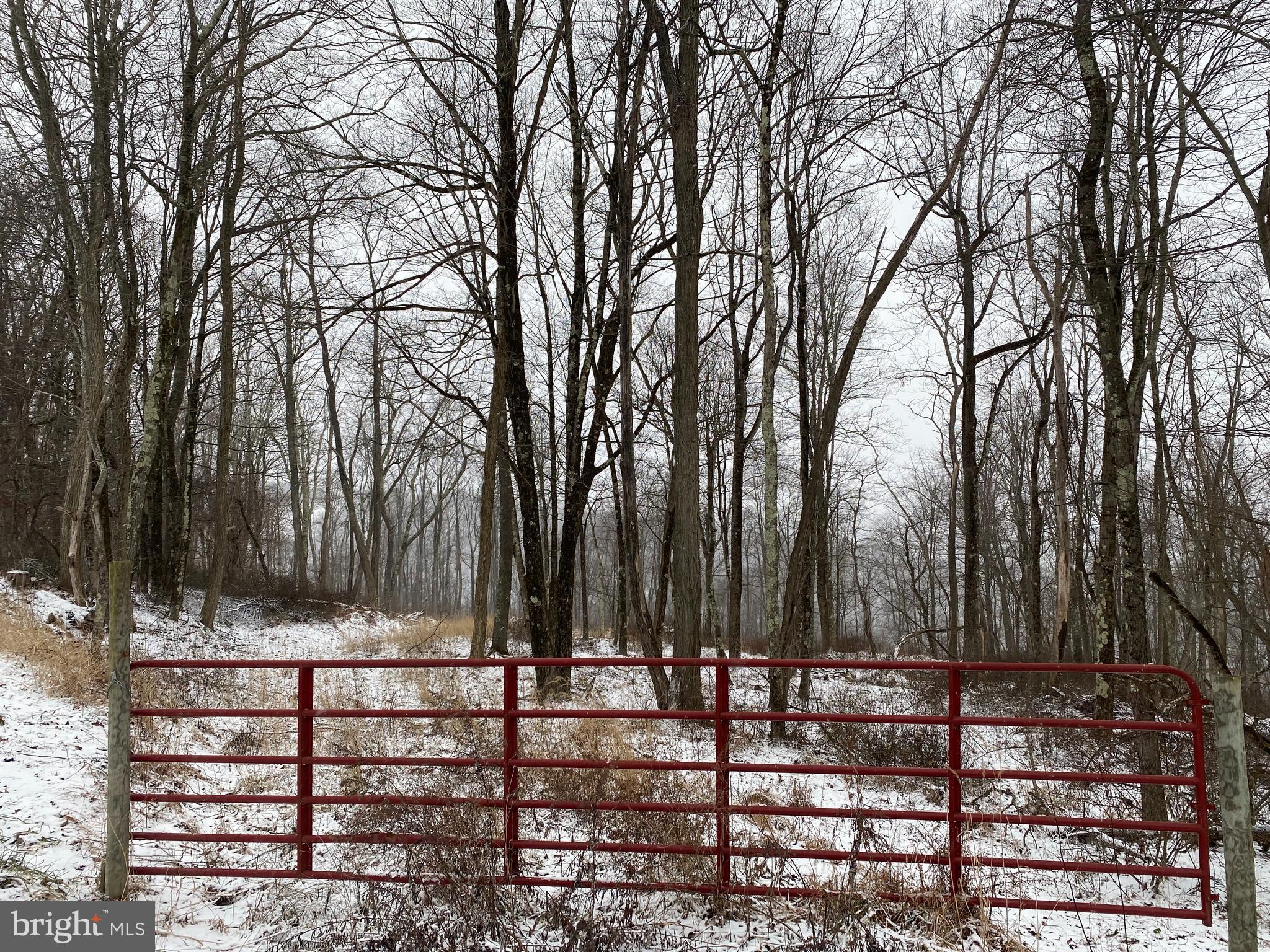 Tbd Stemple Ridge Road Aurora, WV 26705 - Photo 15 of 15 a view of a park with trees