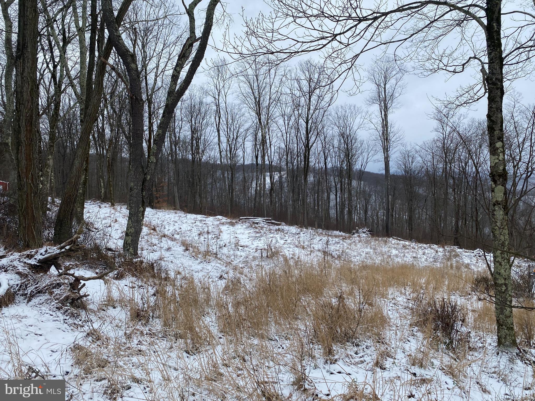 Tbd Stemple Ridge Road Aurora, WV 26705 - Photo 4 of 15 a backyard of a house with a large tree