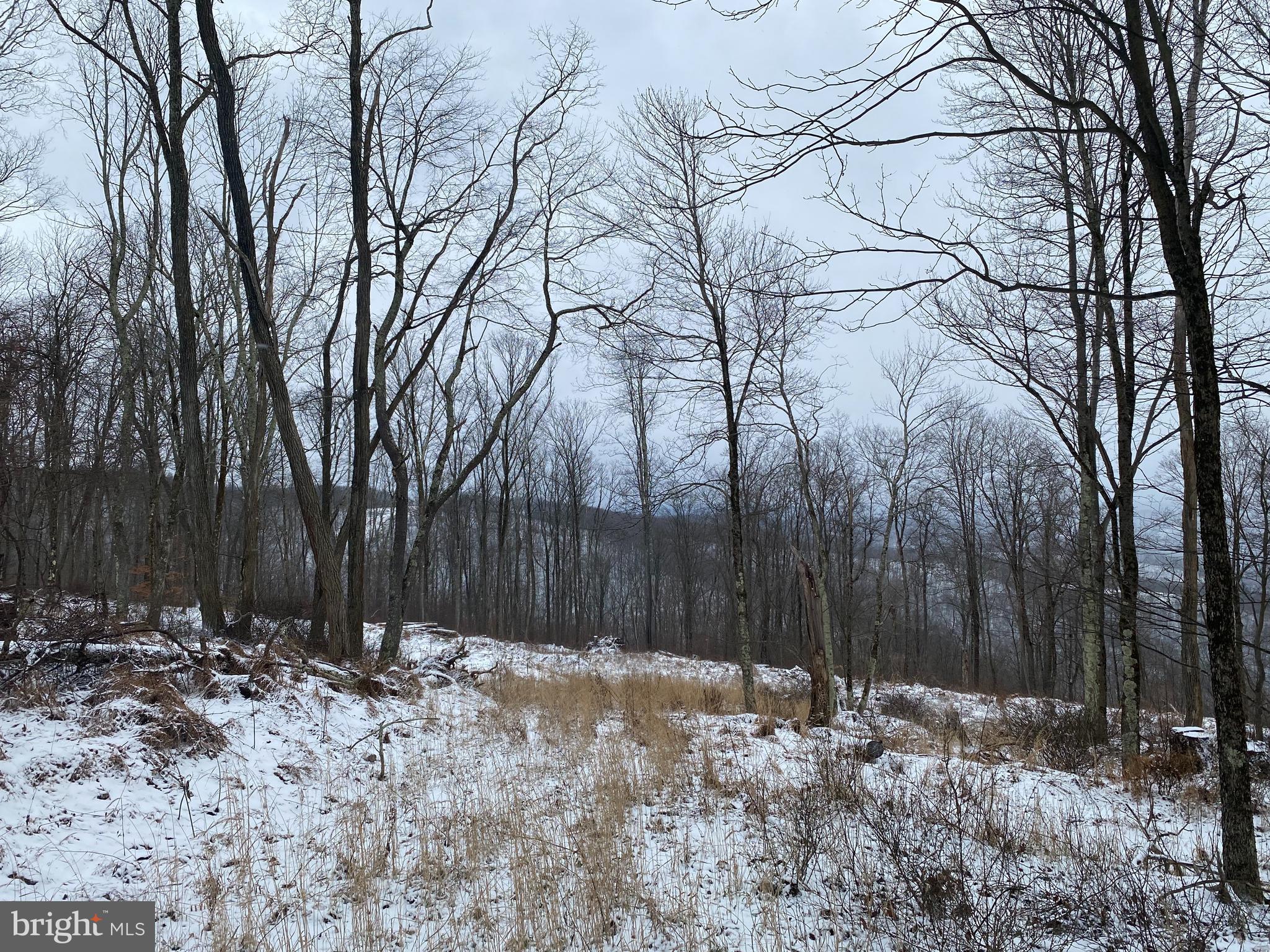 Tbd Stemple Ridge Road Aurora, WV 26705 - Photo 5 of 15 a view of outdoor space with trees