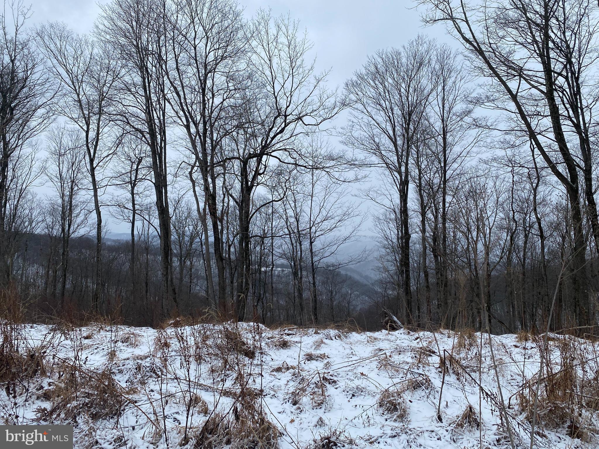 Tbd Stemple Ridge Road Aurora, WV 26705 - Photo 6 of 15 a backyard of a house with a large tree
