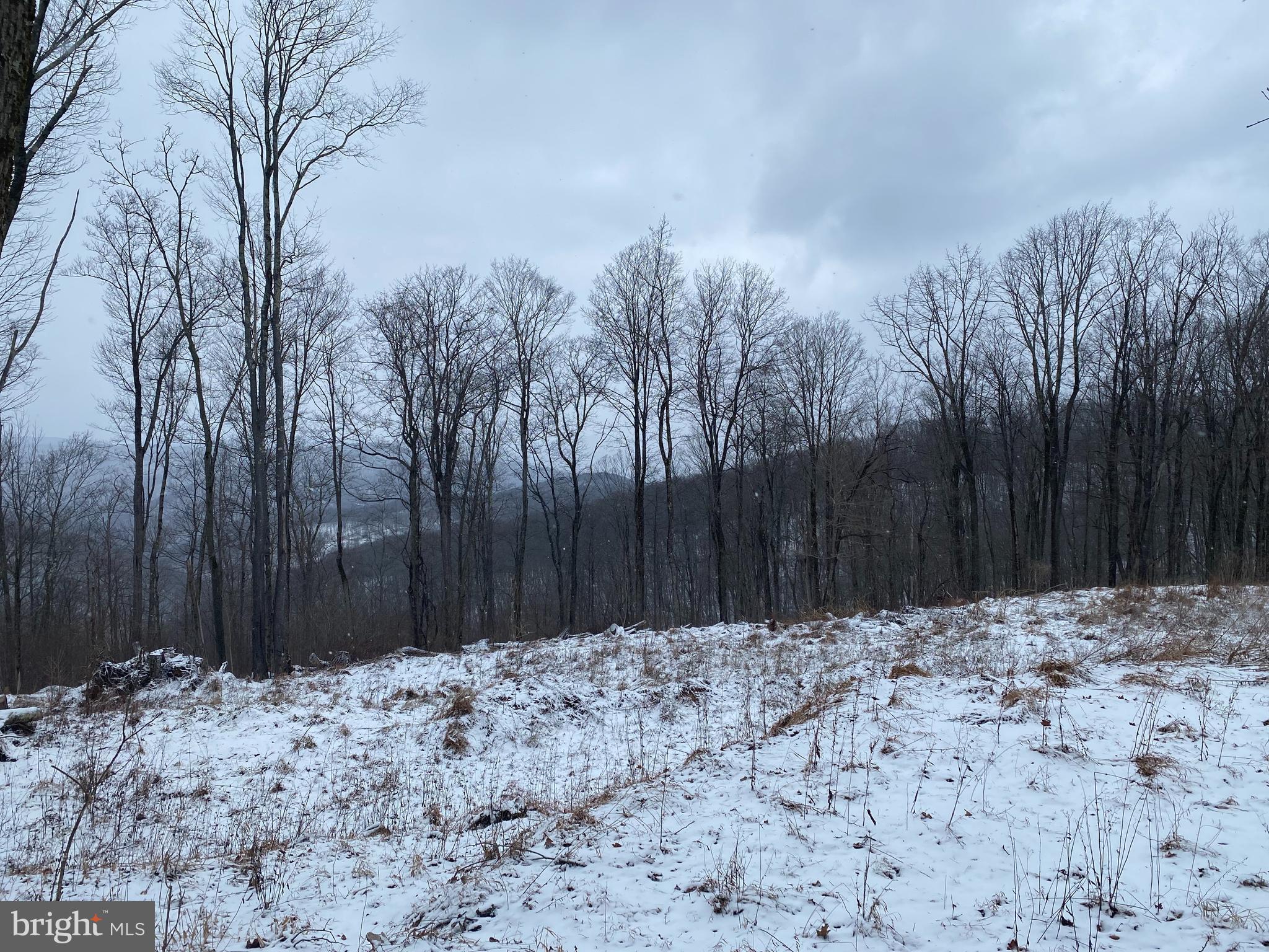 Tbd Stemple Ridge Road Aurora, WV 26705 - Photo 9 of 15