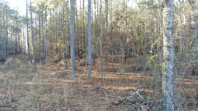$75,000 | 0 Findley Cato Road, Woodbury, GA 30293