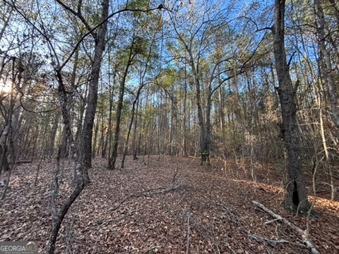 0 Findley Cato Road Woodbury, GA 30293 - Photo 6 of 9