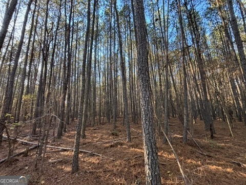 0 Findley Cato Road Woodbury, GA 30293 - Photo 7 of 9