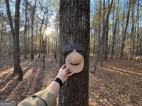 $75,000 | 0 Findley Cato Road, Woodbury, GA 30293