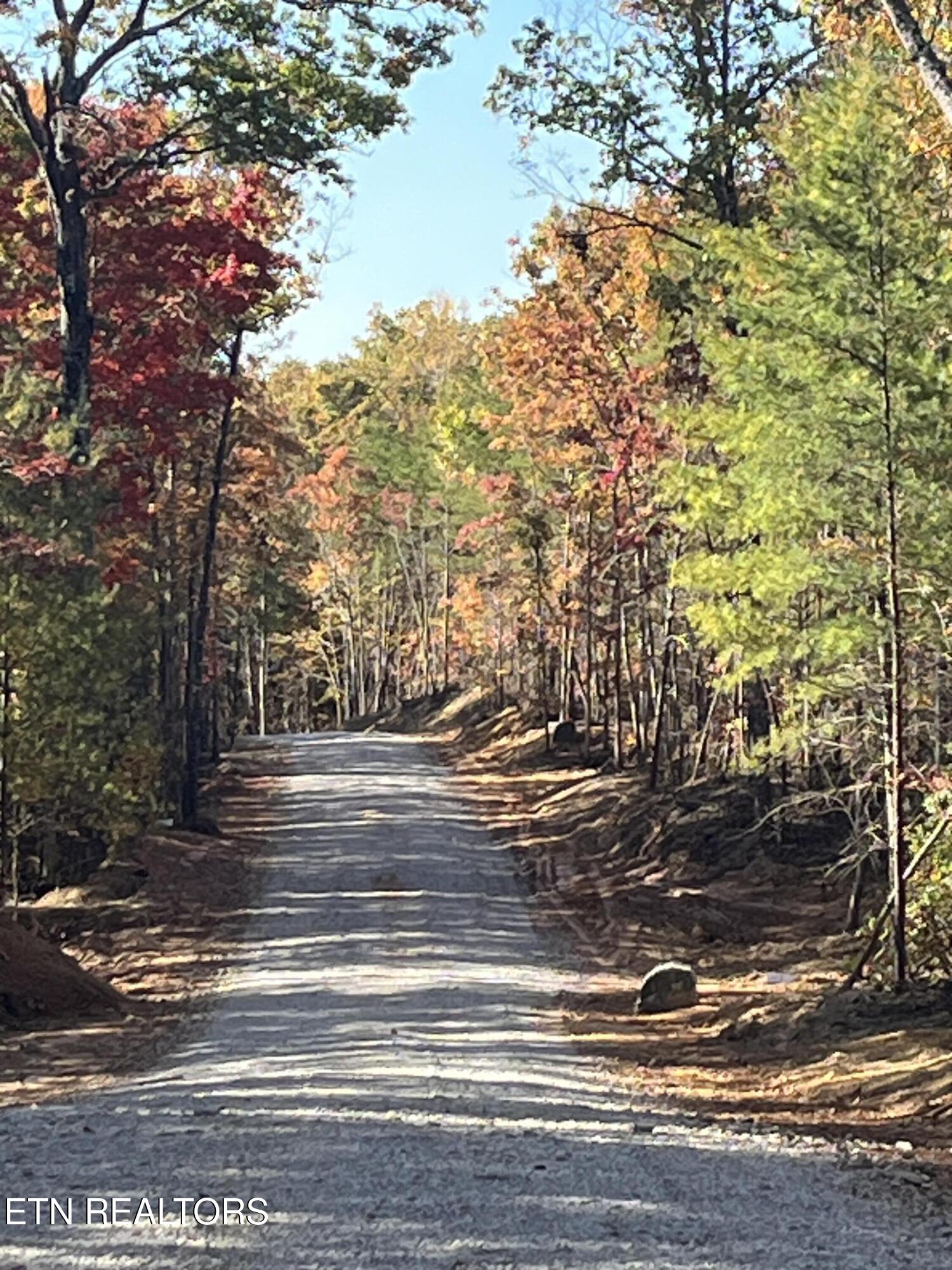 110 Cherokee Path Tellico Plains, TN 37385 - Photo 15 of 42 IMG_1656