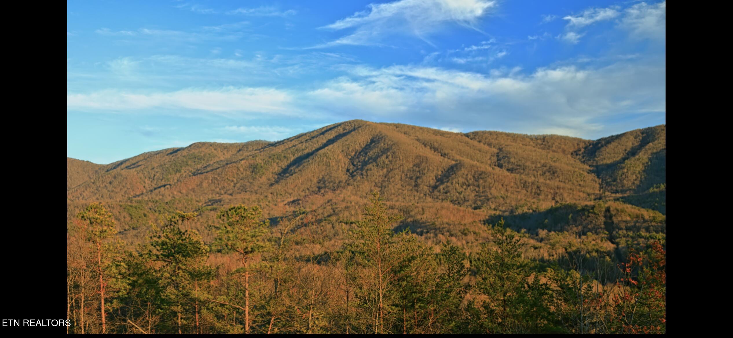 110 Cherokee Path Tellico Plains, TN 37385 - Photo 39 of 42 IMG_1704