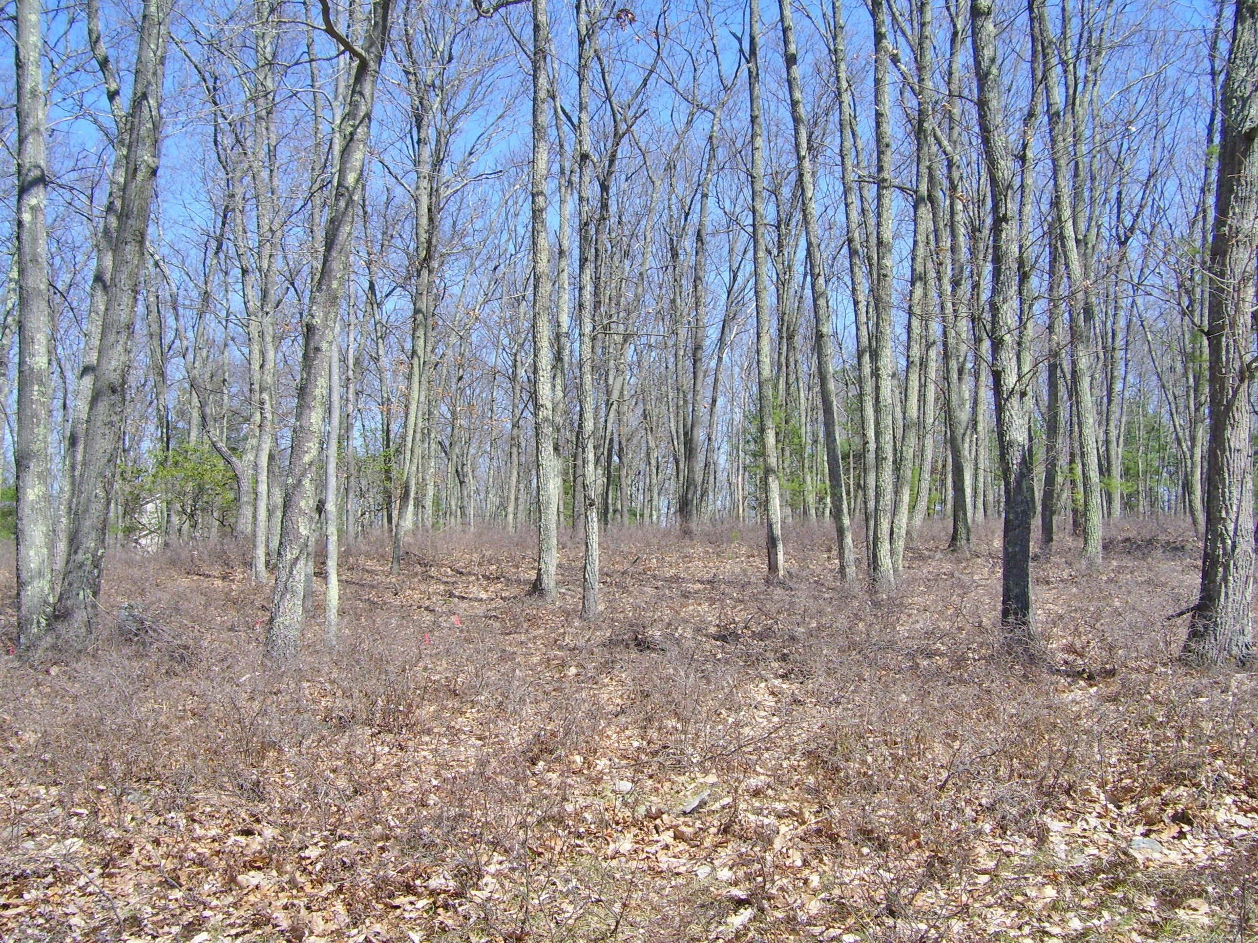 Lot 80 Marquise Road Tafton, PA 18464 - Photo 5 of 12