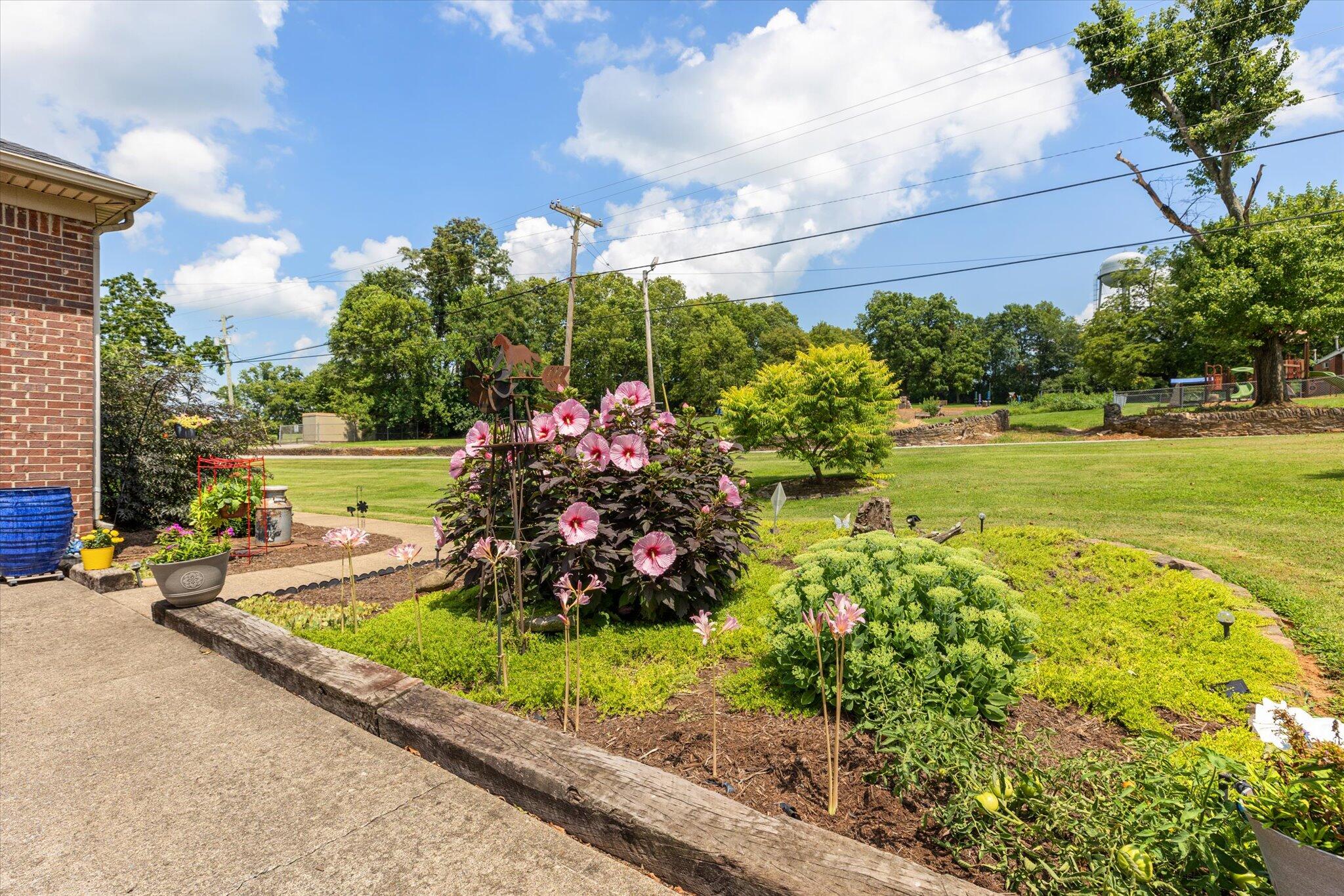 314 College Road Paris, KY 40361 - Photo 37 of 39 37-0J2A8291