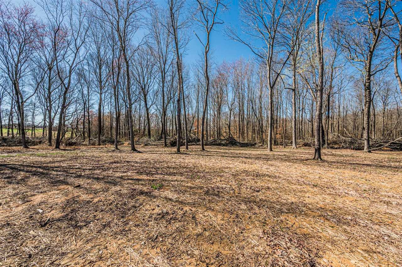 1387 Apple Grove Road Smiths Grove, KY 42171 - Photo 5 of 28 Gallery Image 5