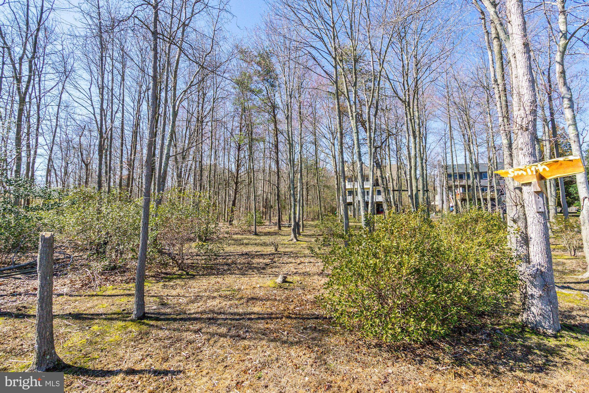 1580 Columbia Beach Road Shady Side, MD 20764 - Photo 42 of 47 View from waterfront to house very private