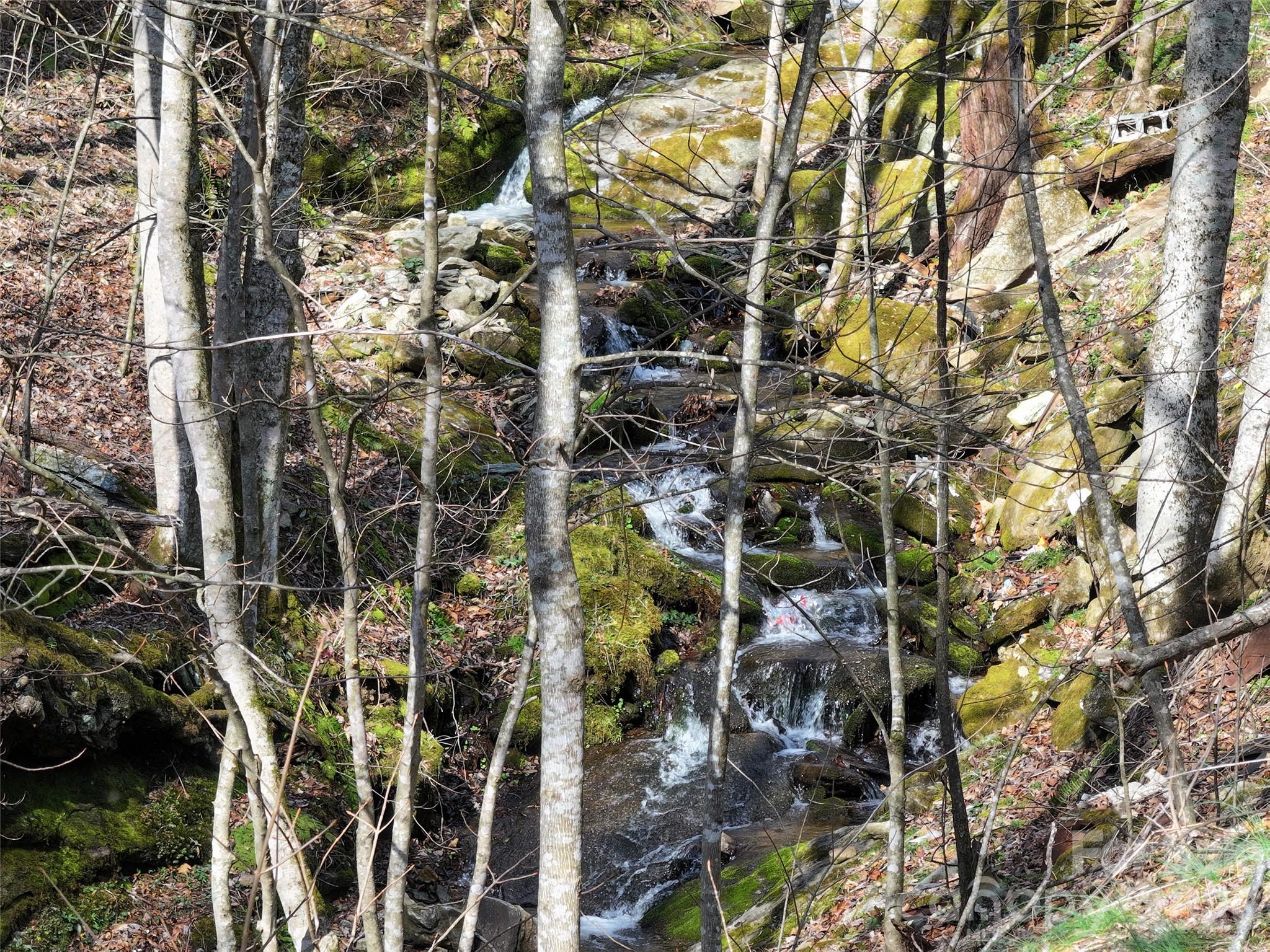 1002 Ned Cove Road Waynesville, NC 28785 - Photo 11 of 16