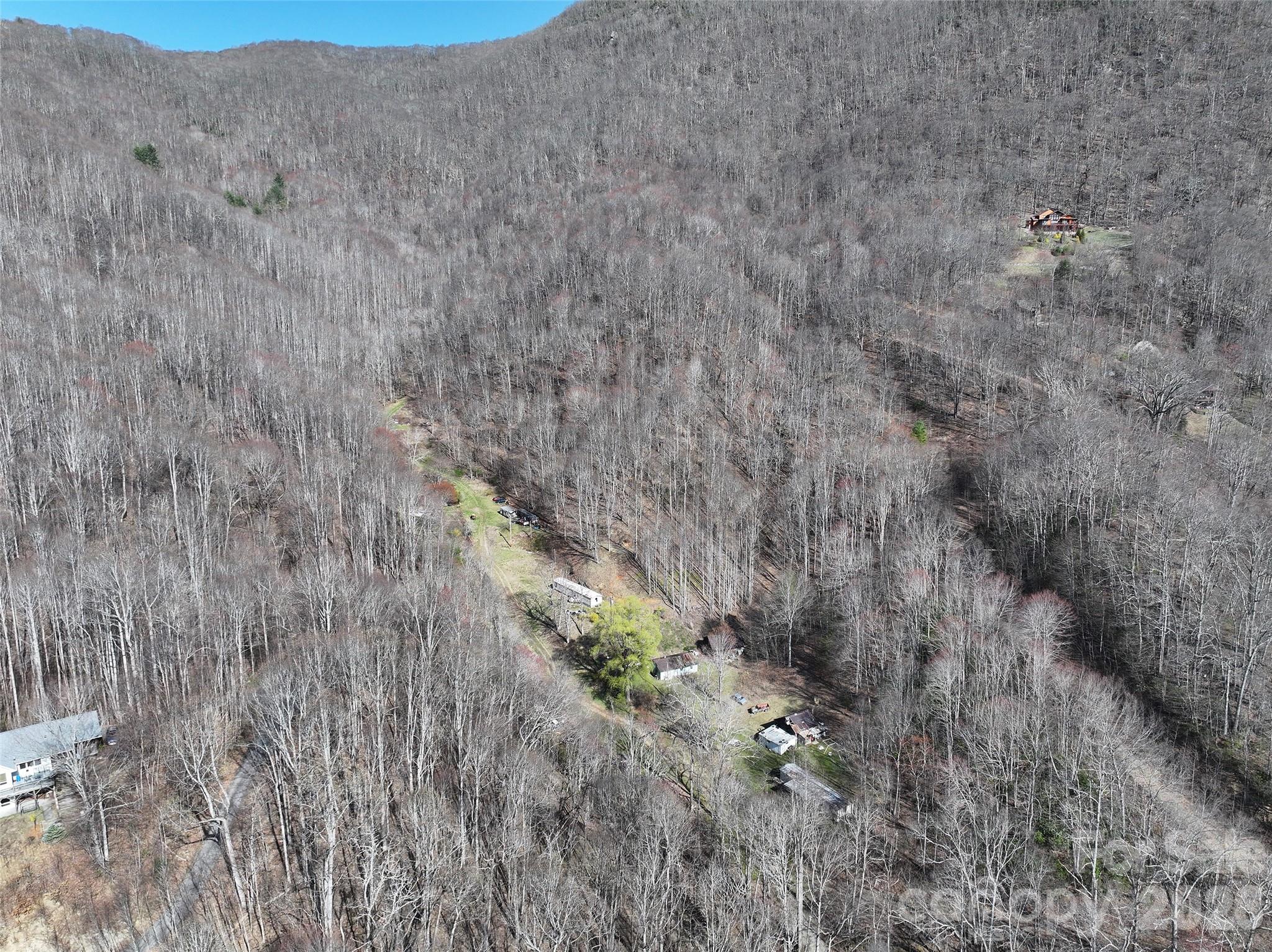 1002 Ned Cove Road Waynesville, NC 28785 - Photo 13 of 16
