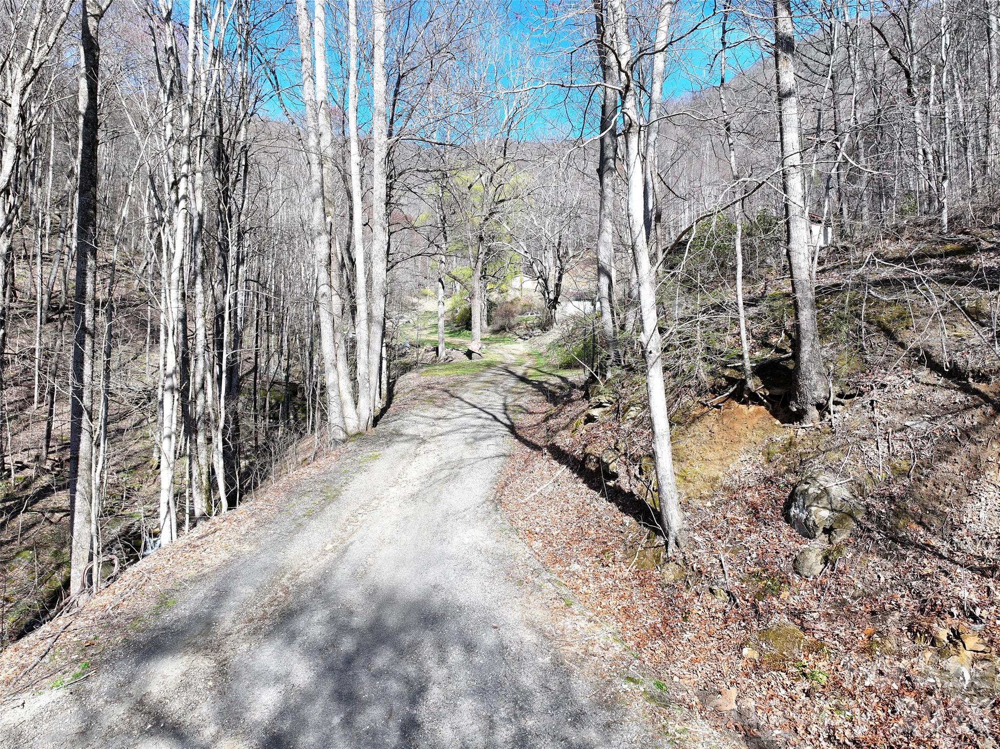 1002 Ned Cove Road Waynesville, NC 28785 - Photo 15 of 16