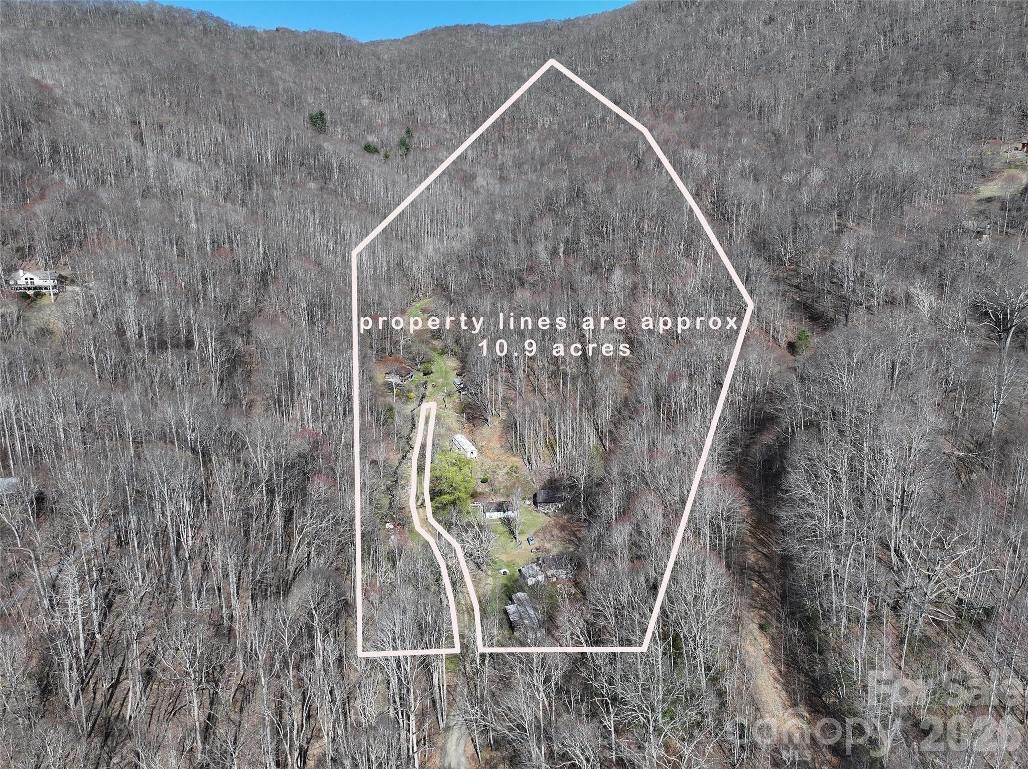 1002 Ned Cove Road Waynesville, NC 28785 - Photo 2 of 16