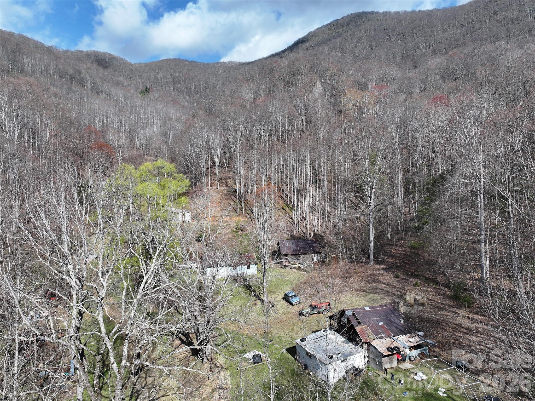 1002 Ned Cove Road Waynesville, NC 28785 - Photo 3 of 16