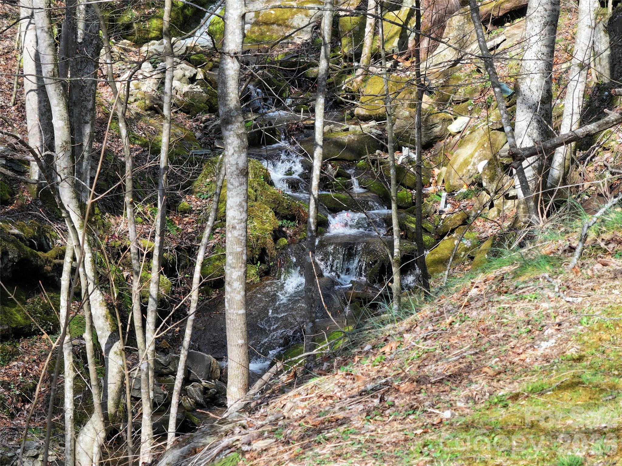 1002 Ned Cove Road Waynesville, NC 28785 - Photo 5 of 16