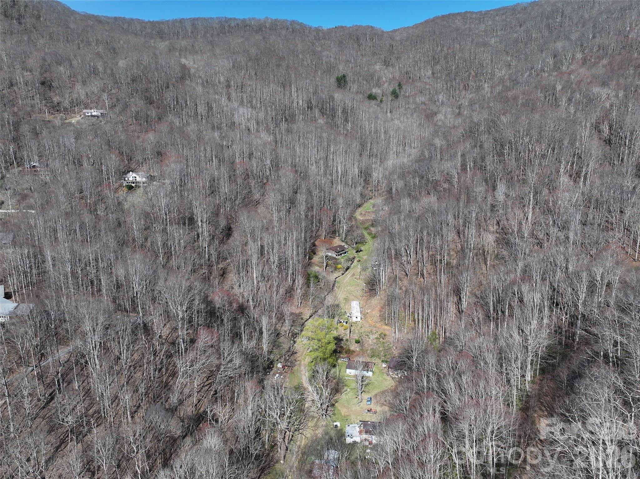 1002 Ned Cove Road Waynesville, NC 28785 - Photo 8 of 16