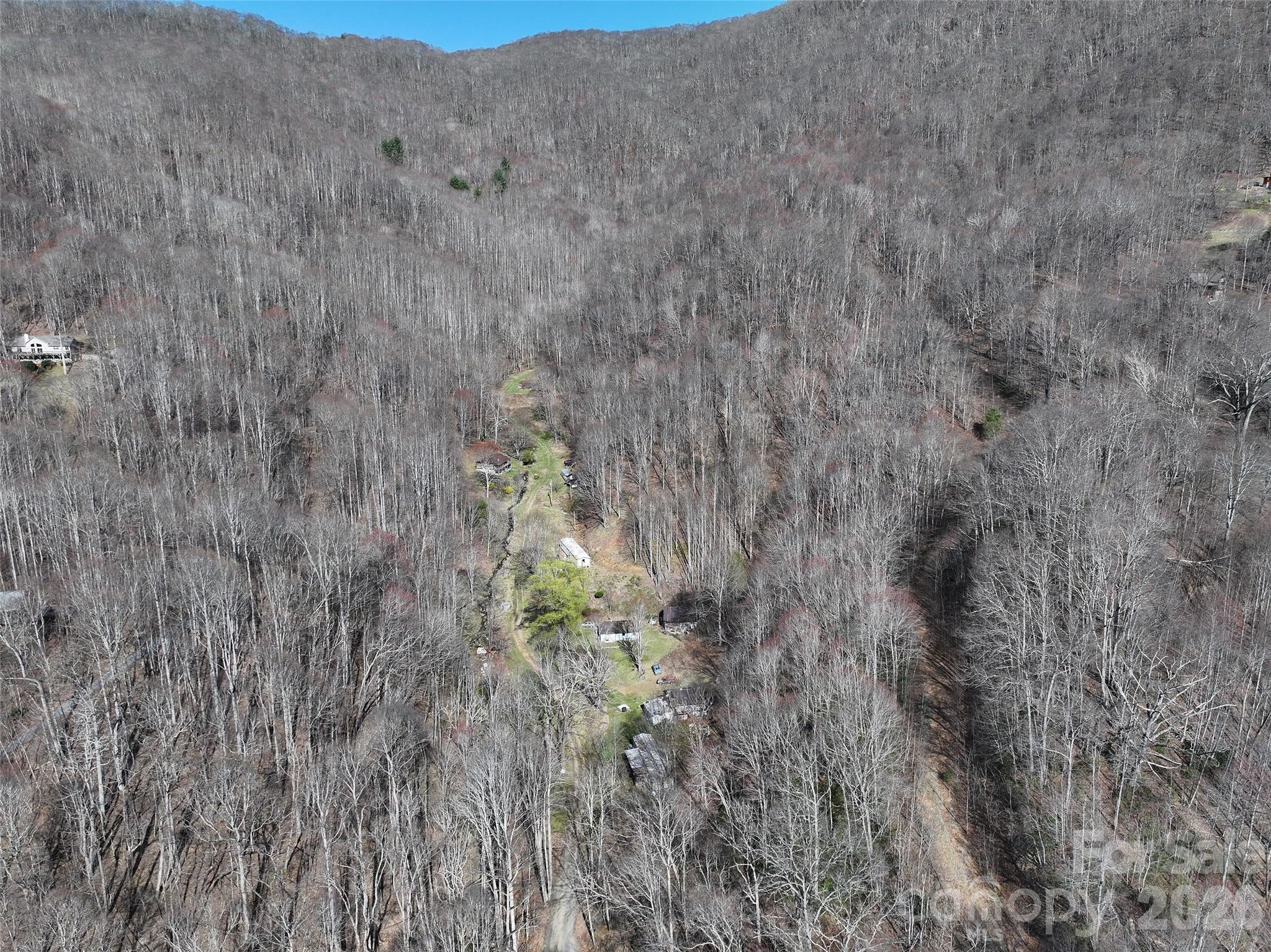 1002 Ned Cove Road Waynesville, NC 28785 - Photo 10 of 16