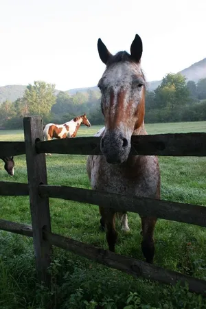 $1,995,000 | 2589 West Sandgate Road, Sandgate, VT 05250