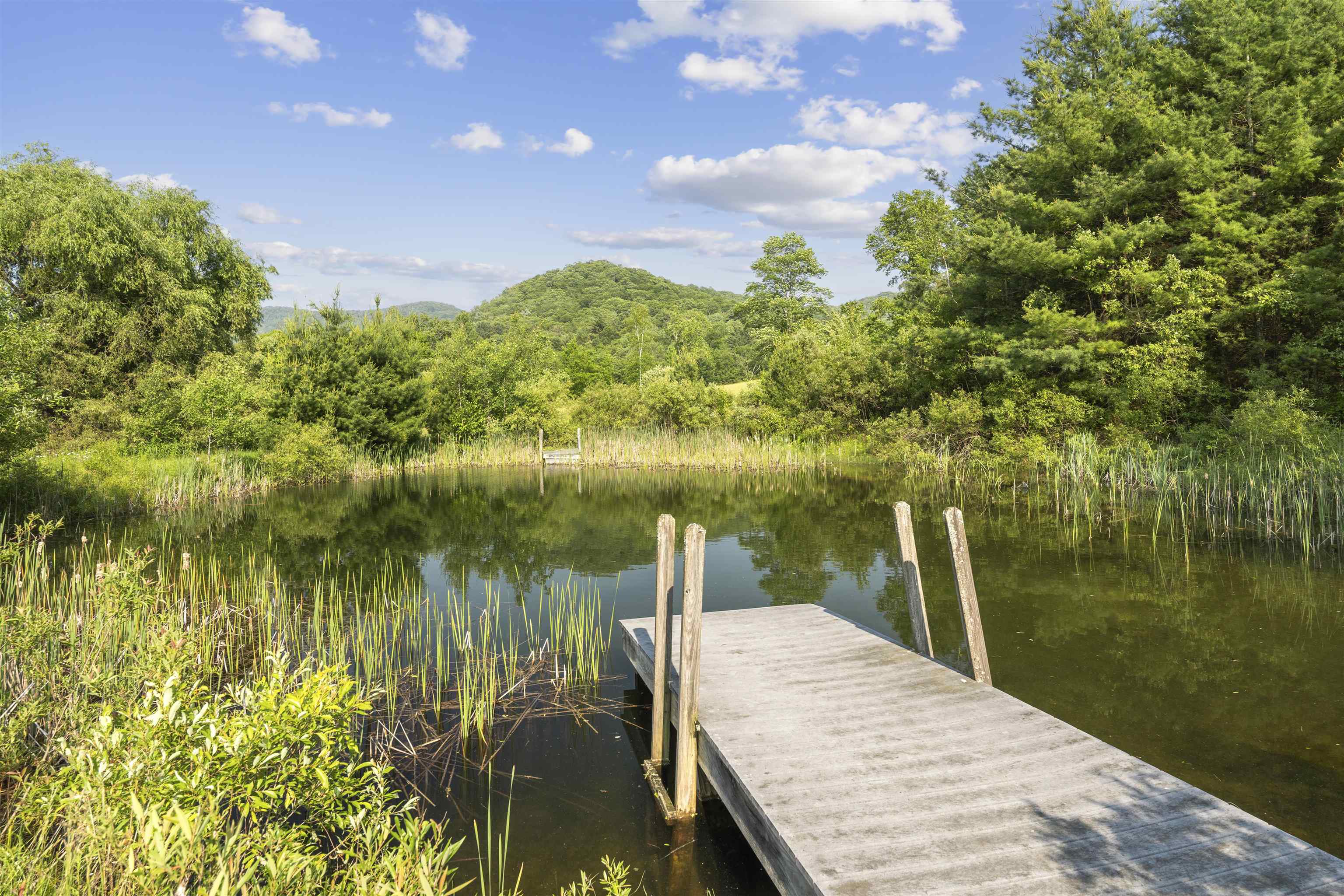 2589 West Sandgate Road Sandgate, VT 05250 - Photo 6 of 38