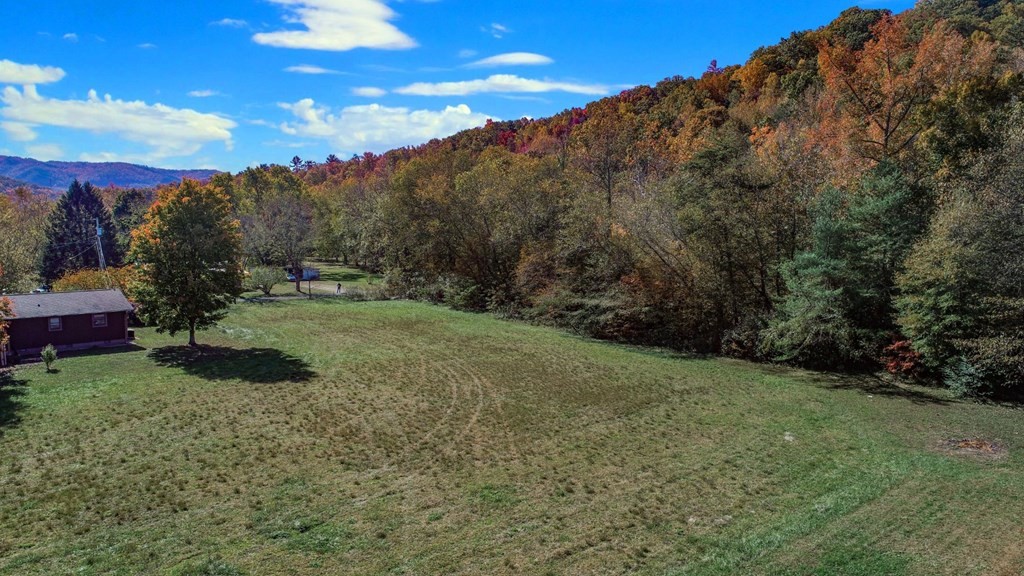 56 Dunn Way Cosby, TN 37722 - Photo 3 of 21 Gallery Image 3