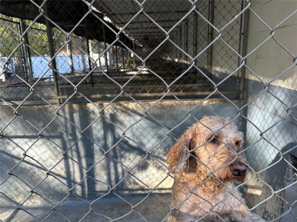 24392 Lanark Road Brooksville, FL 34601 - Photo 23 of 58 a black and white umbrella