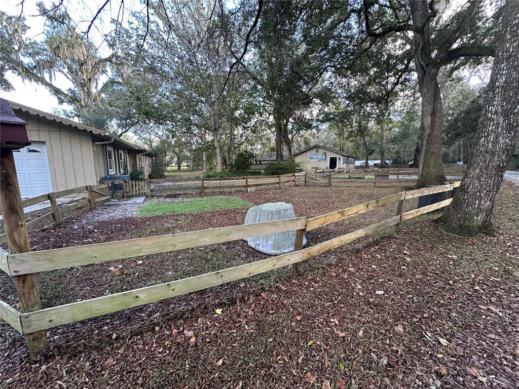 24392 Lanark Road Brooksville, FL 34601 - Photo 30 of 58 a view of a yard with trees