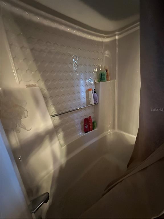 24392 Lanark Road Brooksville, FL 34601 - Photo 36 of 58 a bathroom with a shower and a bath tub