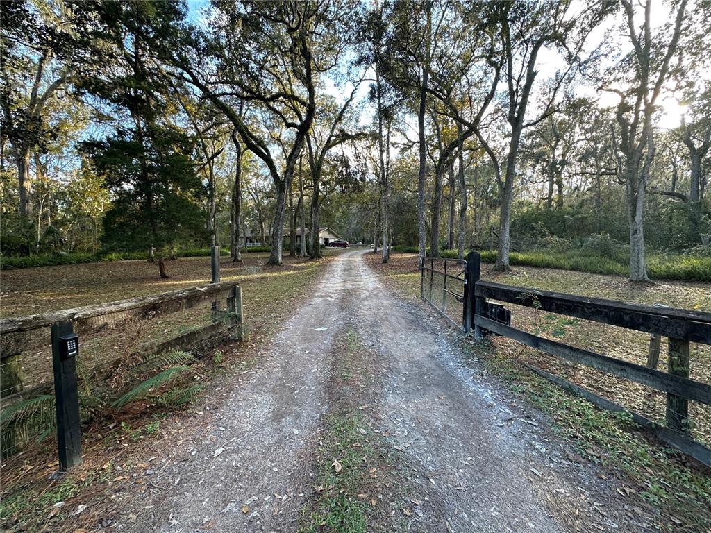 24392 Lanark Road Brooksville, FL 34601 - Photo 53 of 58 a view of park with trees
