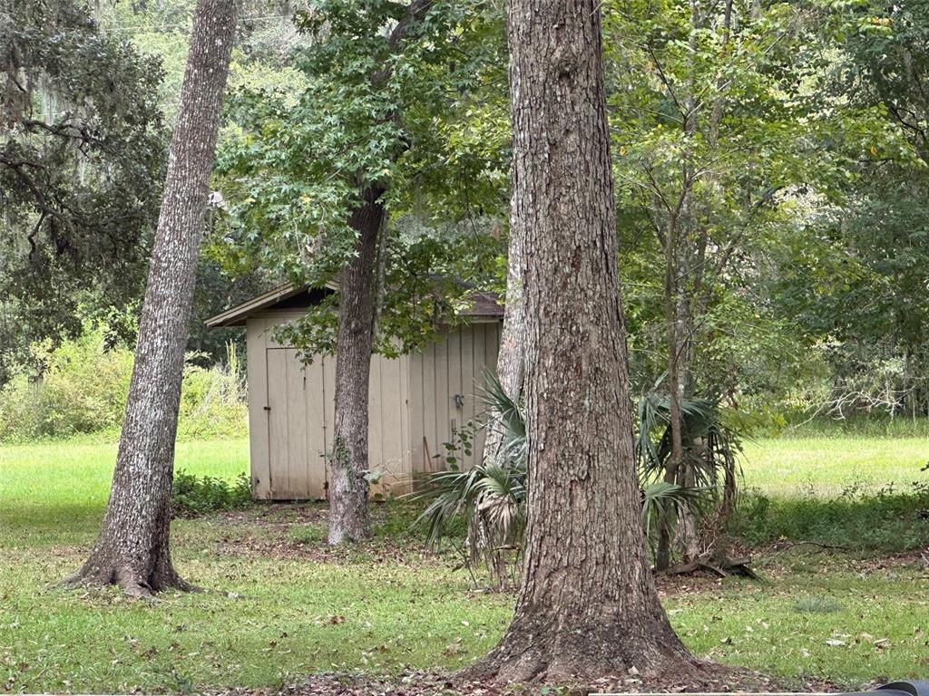 24392 Lanark Road Brooksville, FL 34601 - Photo 10 of 58 a backyard of a house with lots of green space