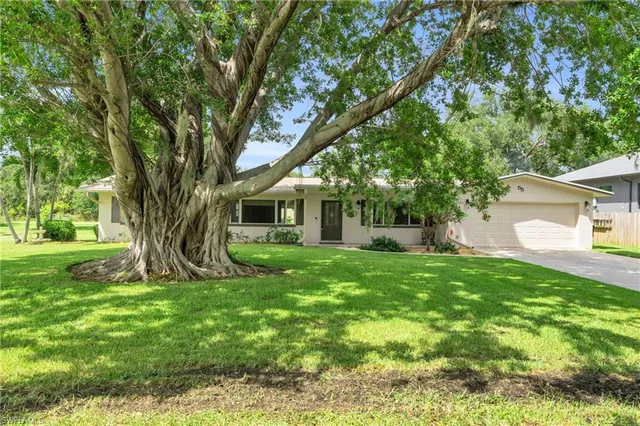 a view of a house with yard and a tree