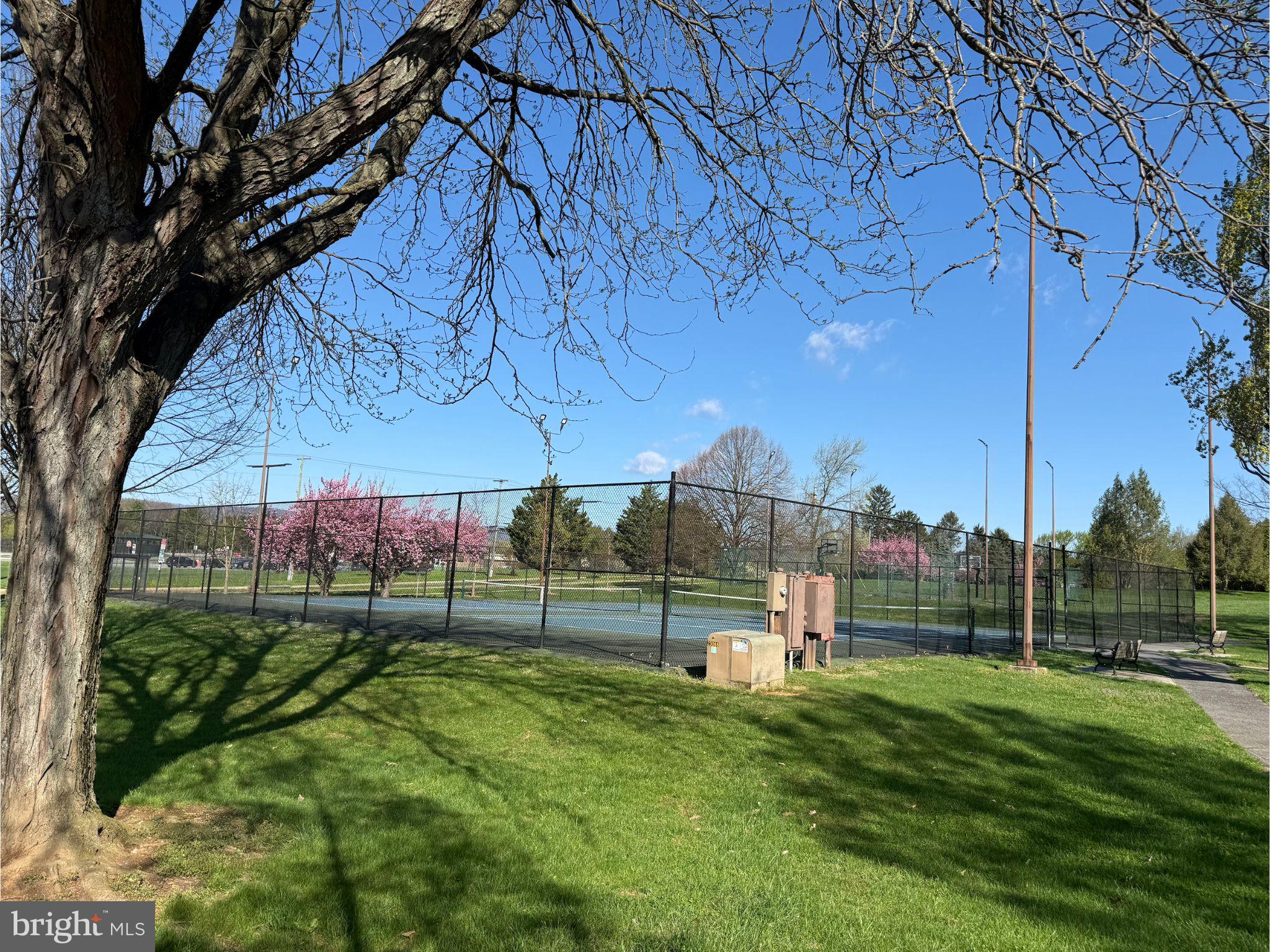 1715 Country Court Frederick, MD 21702 - Photo 29 of 31 a view of a park with large trees
